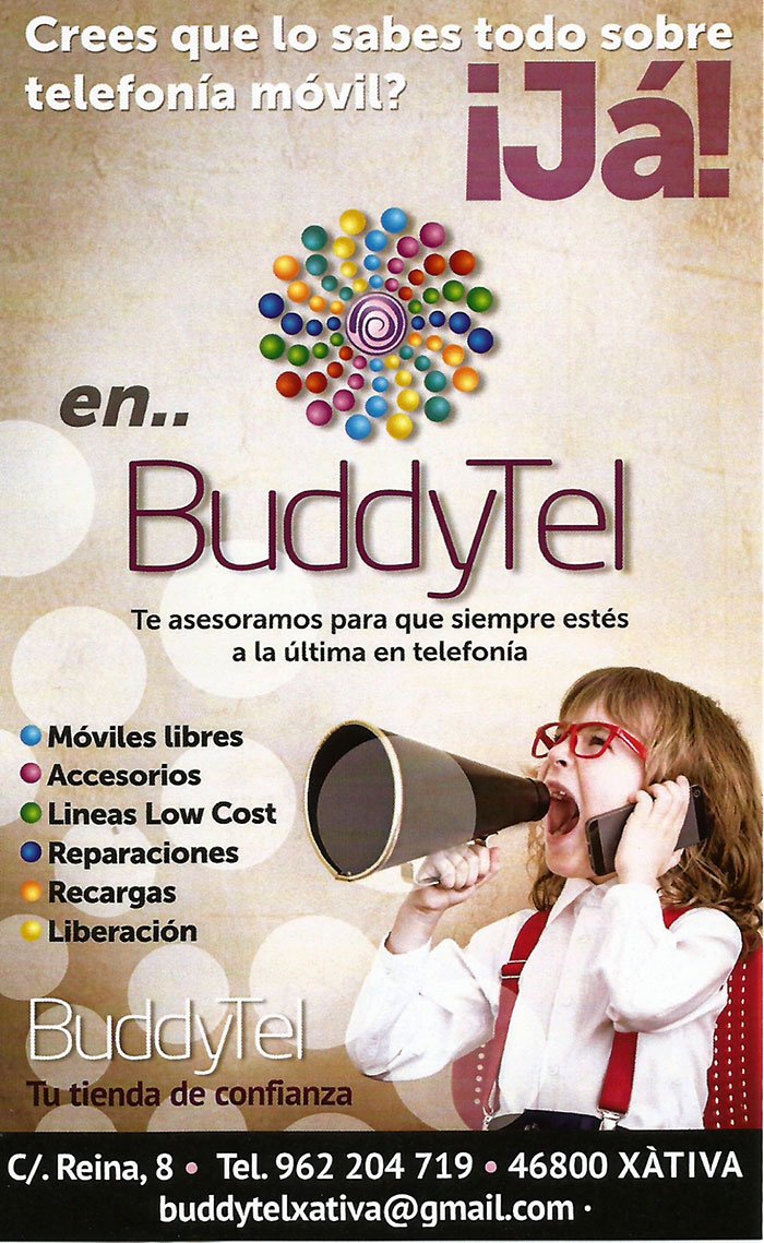 buddytel-flayer