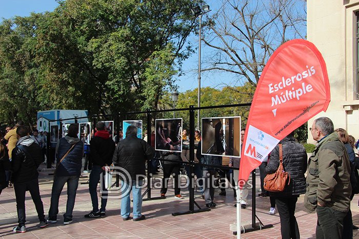 expo-edu13-diaridigital.es