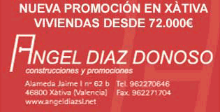 angel-diaz-diaridigital.es