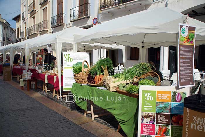 mercat-de-la-terra2-3-Diaridigital.es