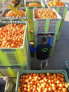 robo-de-naranjas-1-diaridigital.es