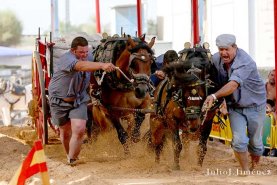 fotos-feria-dia-17-2