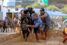 fotos-feria-dia-17--4