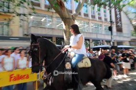 IMG_0553