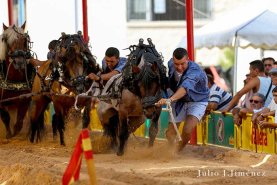 fotos-feria-dia-17--5