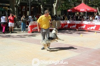 IMG_9272