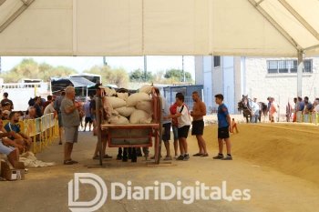 IMG_1641