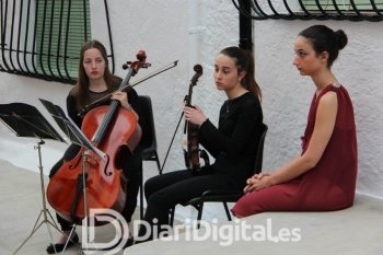 IMG_8342-w700-h467