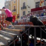 toros-en-moixent-696×325
