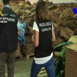 tabaco-5