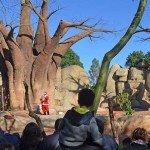 navidades-2016-en-bioparc-valencia3
