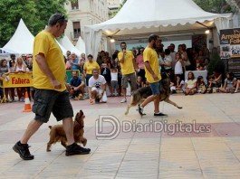 Adexa organitza el 2r PERRO-TOUR a la ciutat de Xàtiva