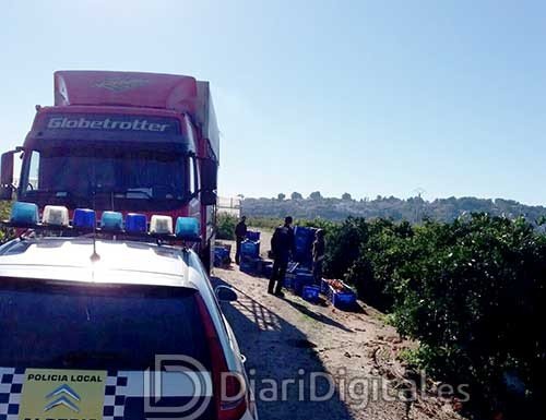 La Policia Local d’Alberic desmantella dues organitzacions que explotaven a treballadors en el camp