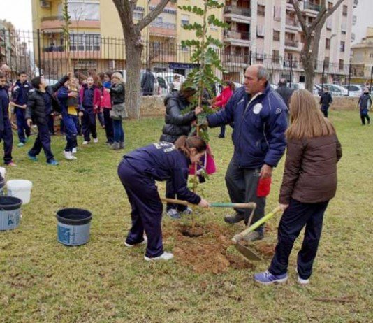 ACDEMA proposa un Programa d’Arbrat Urbà i Ombra per a Canals