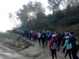 Barxeta, pròxima parada del programa de rutes senderistes organitzades per la Mancomunitat