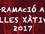 banner-programacio-falles-diaridigital.es