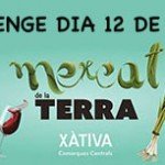 mercat-de-la-terra-diaridigital.es_