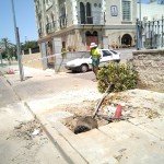 Arbres Canals