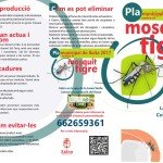 mosquit-tigre-revisio-1