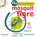 mosquito-tigre-1