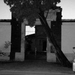 cementerio-de-noche