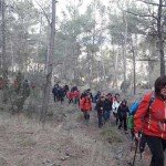 Ruta-manco-Moixent-II