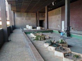 El Lluís Alcanyís de Xàtiva licitará en breve las obras del nuevo Hospital de Día