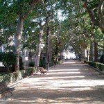 jardin-del-beso