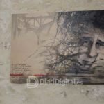 expo-ovidi-1