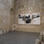 expo-ovidi-3