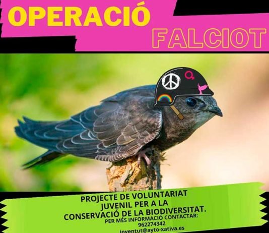 Xàtiva llança un projecte de voluntariat juvenil per a la conservació de la biodiversitat