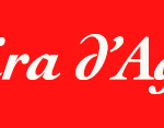 banner-1068-programacio