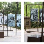 foto-extra-expo-Marzal