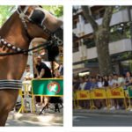 foto-extra-caballos