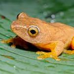 articulo-4-casinosonlineespaa-30b.es