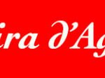 banner-1068-programacio-2023-1
