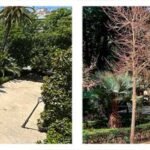 foto-extra-la-glorieta