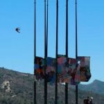 inmaculada-arca-ecultura-2-diaridigital