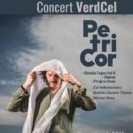 MIL-concert