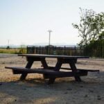 via-verde-xativa-2