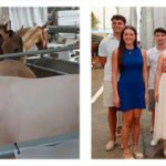 foto-extra-feria-del-caballo