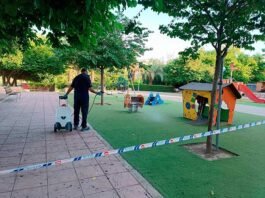 Canals actua per acabar amb la plaga de milpeus a la zona Horts