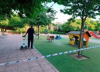 Canals actua per acabar amb la plaga de milpeus a la zona Horts