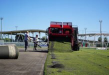 Xàtiva comença la reposició de la gespa del camp dos de Les Pereres