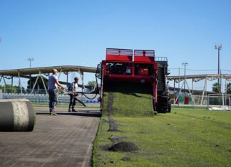 Xàtiva comença la reposició de la gespa del camp dos de Les Pereres