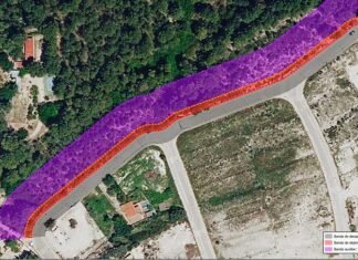 Xàtiva inicia noves actuacions de gestió forestal i prevenció d’incendis a la Cova Negra i a Bixquert