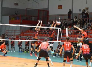 Els equips del Xàtiva Voleibol cauen amb orgull davant els líders de les seues categories