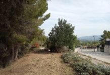 Conclouen les actuacions forestals per a reduir el risc d’incendis a Xàtiva