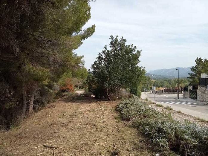 A1-Bixquert-limpieza-forestal(1)