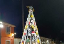 Annauir encén el Nadal: estrena arbre i convoca la segona edició del seu concurs de façanes